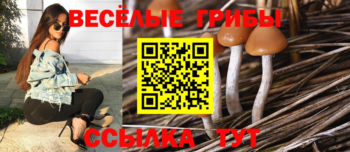 Псилоцибиновые грибы Psilocybine cubensis  Псилоцибиновые грибы MAGIC MUSHROOMS  Вход с VPN  Пушкино 